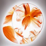 бра Wagashi